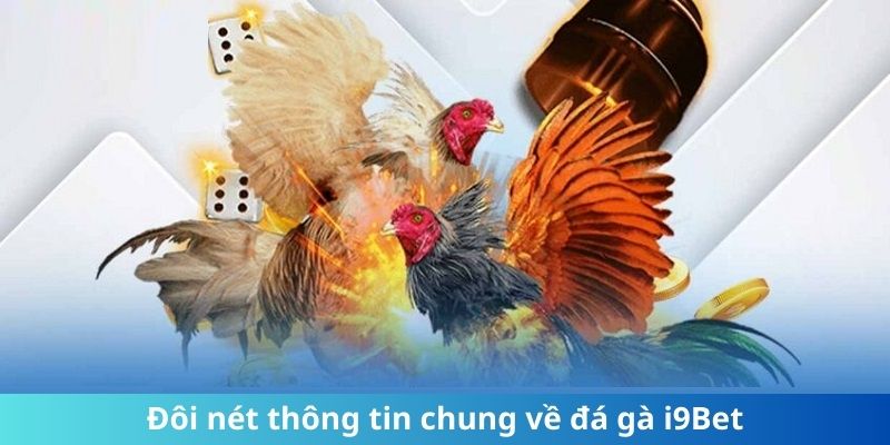 Đôi nét thông tin chung về đá gà i9Bet