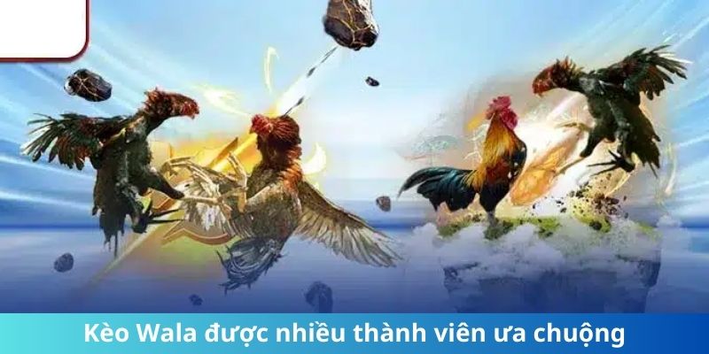 Kèo Wala được nhiều thành viên ưa chuộng