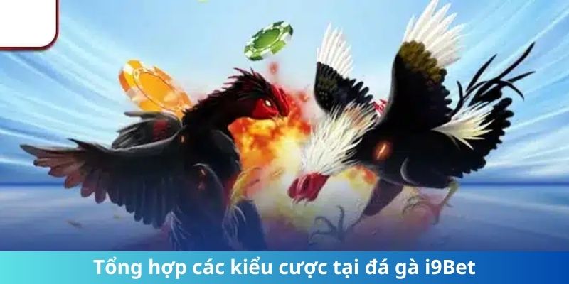 Tổng hợp các kiểu cược tại đá gà i9Bet