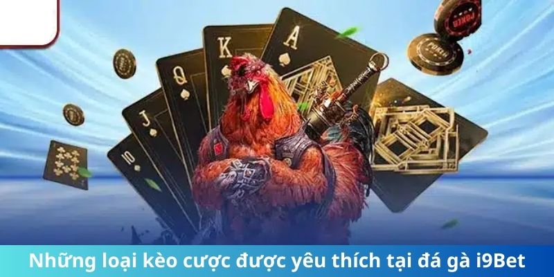 Những loại kèo cược được yêu thích tại đá gà i9Bet