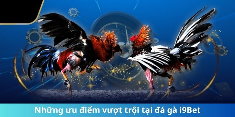 Những ưu điểm vượt trội tại đá gà i9Bet